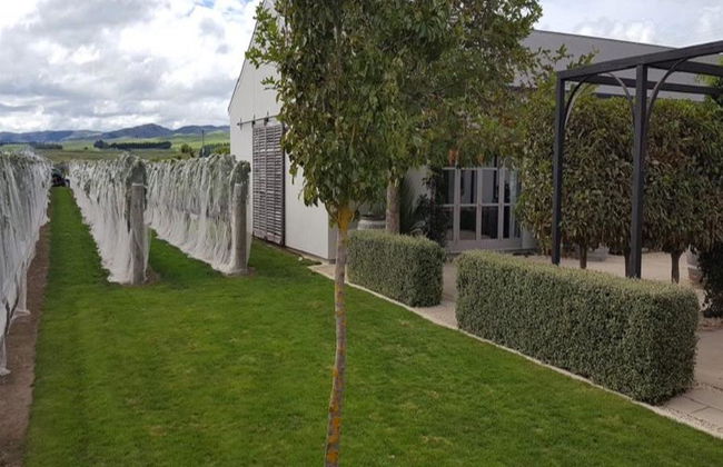 Martinborough Foodie - Tour d'une demi-journée en petit groupe - Photo 5
